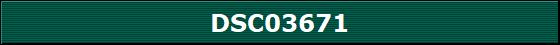 DSC03671