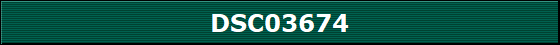 DSC03674