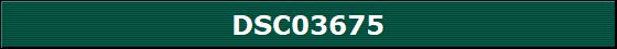 DSC03675