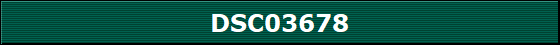DSC03678